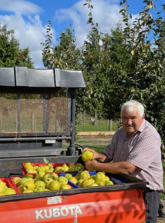 Quincessential Quince Paste New Zealand